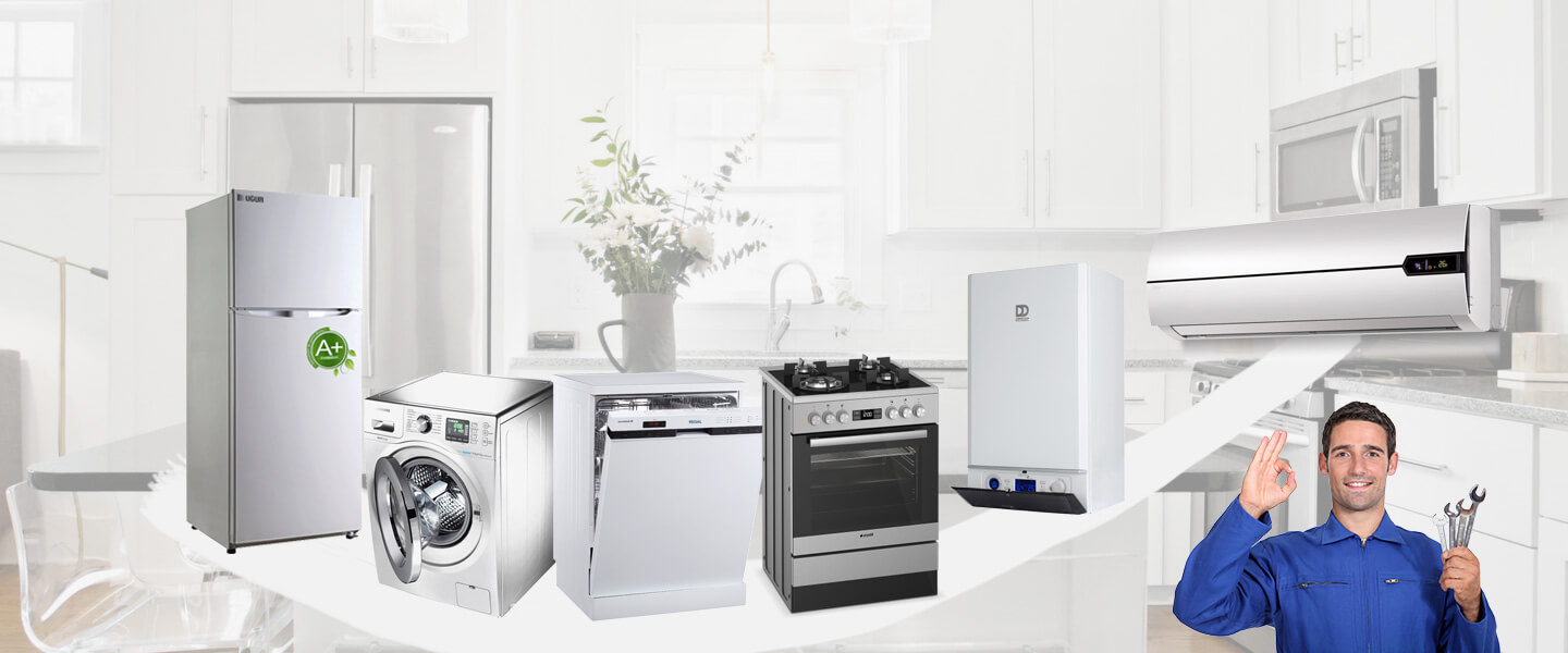 Bahçelerarası Electrolux Servisi
